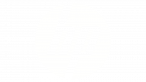 Nathalie – Business Resource Group & Global Channel Incentives Manager, Sales Operations – HP France